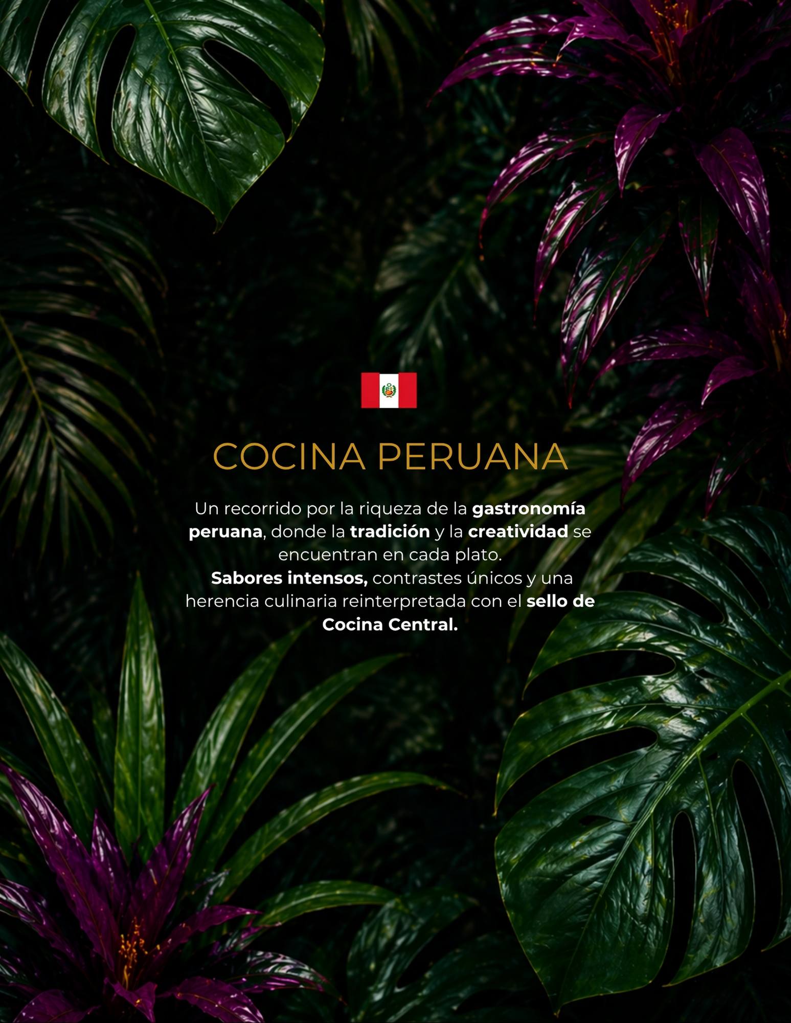 cocina central
